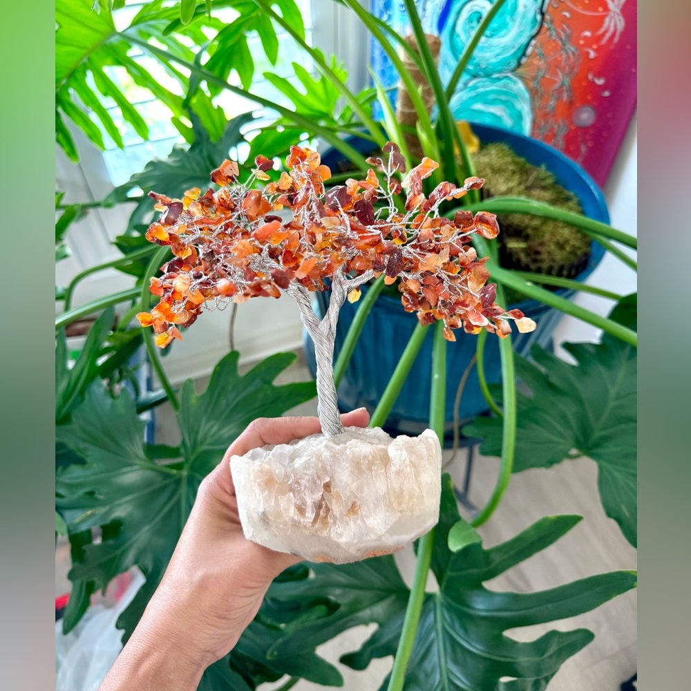 Carnelian Tree - Picture 3 of 6